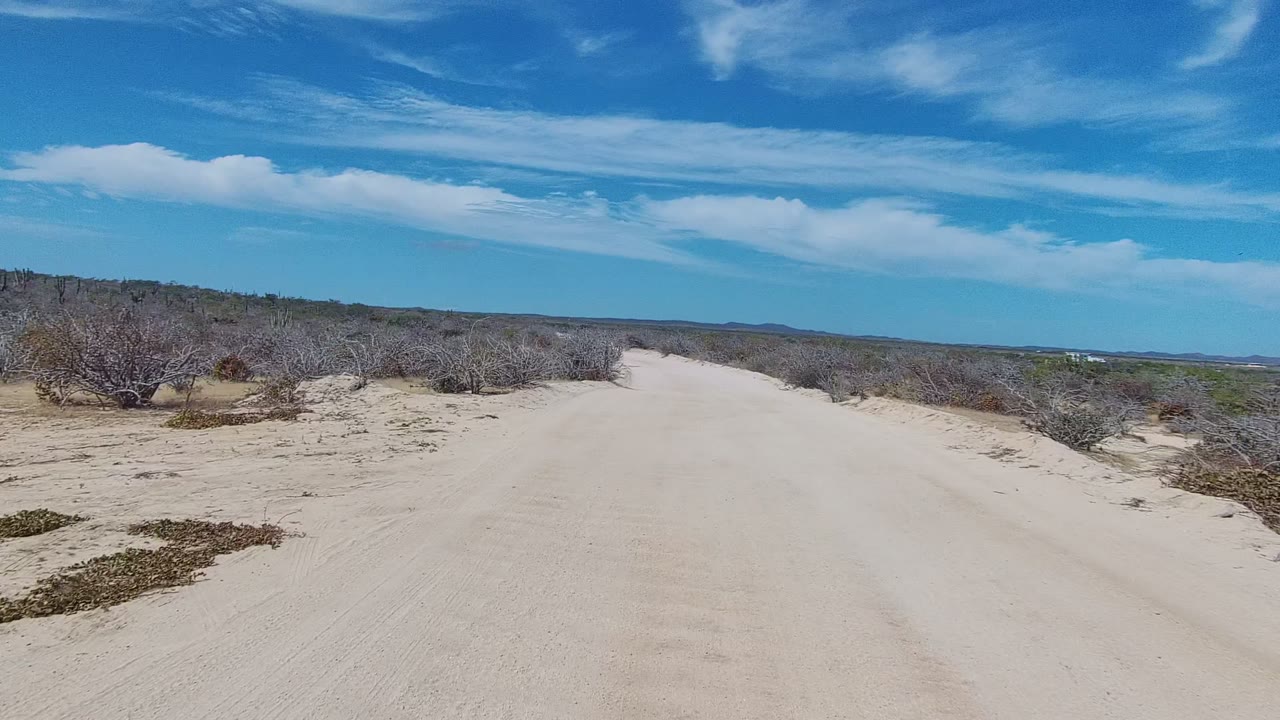 Pale dirt road bordered by scrub in an arid landscape