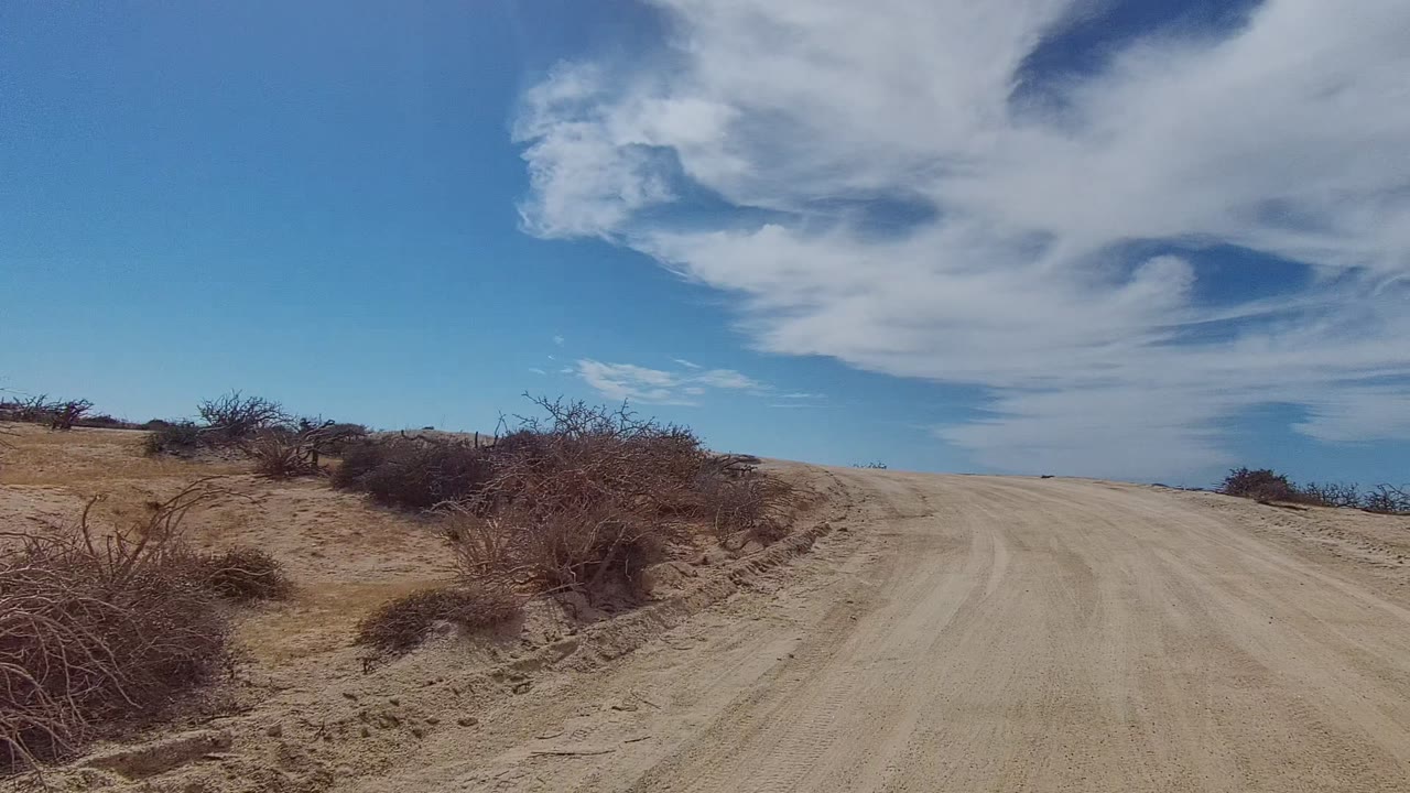 Dirt road climbing past low bushes and sandy banks