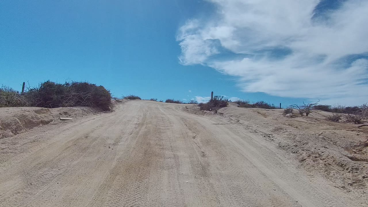 At 0:02, the sandy road in Los Cabos, Baja California Sur fills the foreground with cactus shapes and low brush along both edges and no visible people.