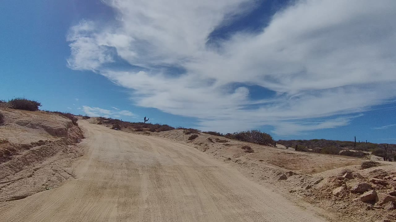 Dirt road rising slightly through sandy desert with low shrubs and distant cacti.