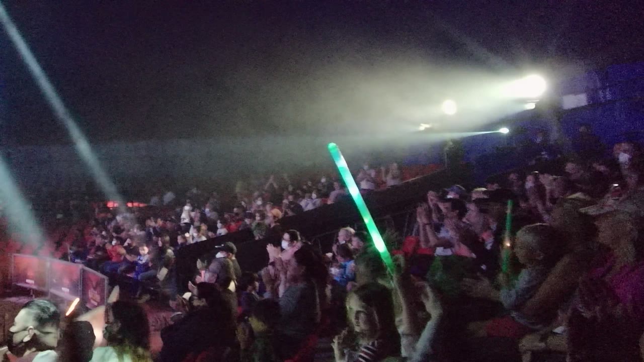 Audience members wave a green light stick near a crowded stage.