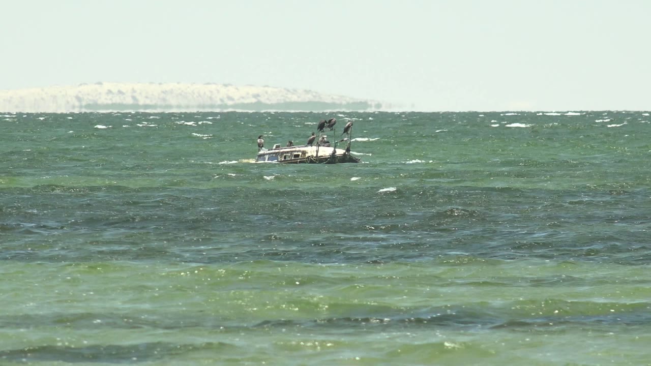 A small boat sits left of center on choppy green-blue water off San Carlos, Baja California Sur, with whitecaps and a pale distant shoreline behind it.