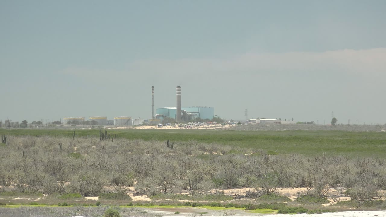 Wide view in San Carlos, Baja California Sur of dry cacti and scrub leading to a distant industrial complex with a smokestack under a pale sky, with no visible people.