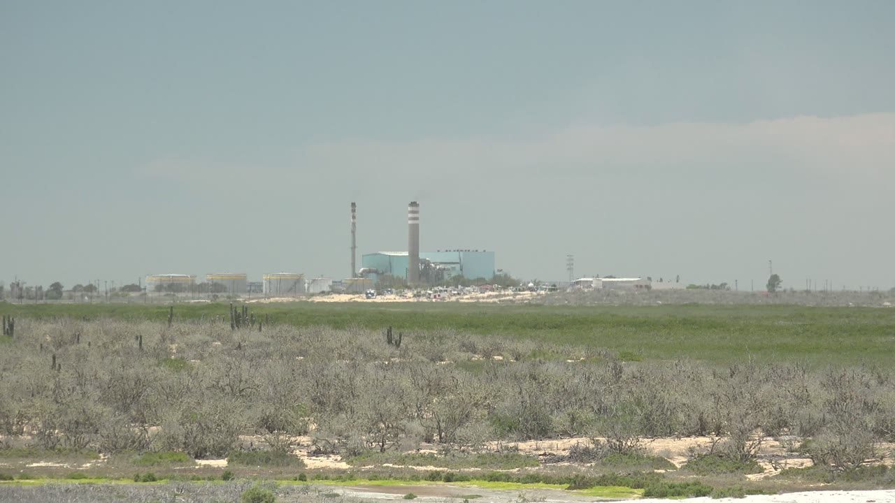 Dry scrub and cacti facing a distant smokestack complex