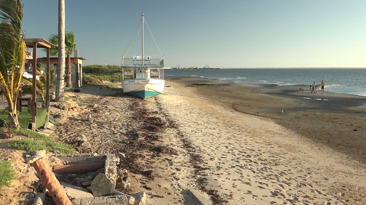 San Carlos, Baja California Sur beach view with a white sailboat on sand, palm trunks and a wooden structure at left, and small swimmers near the waterline.