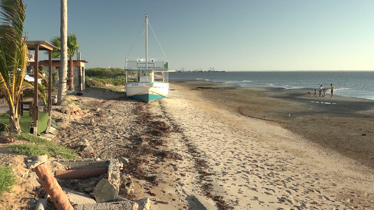 White sailboat on sand beside a palm-lined beach and distant swimmers.
