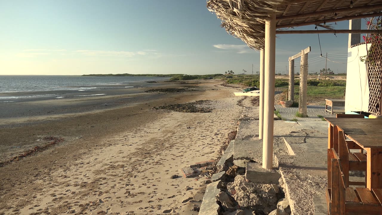 Thatched roof and beach patio beside the shoreline.