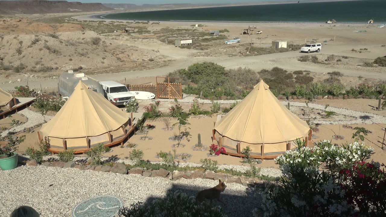 Bell tents and parked vehicles above a sandy campsite near water.
