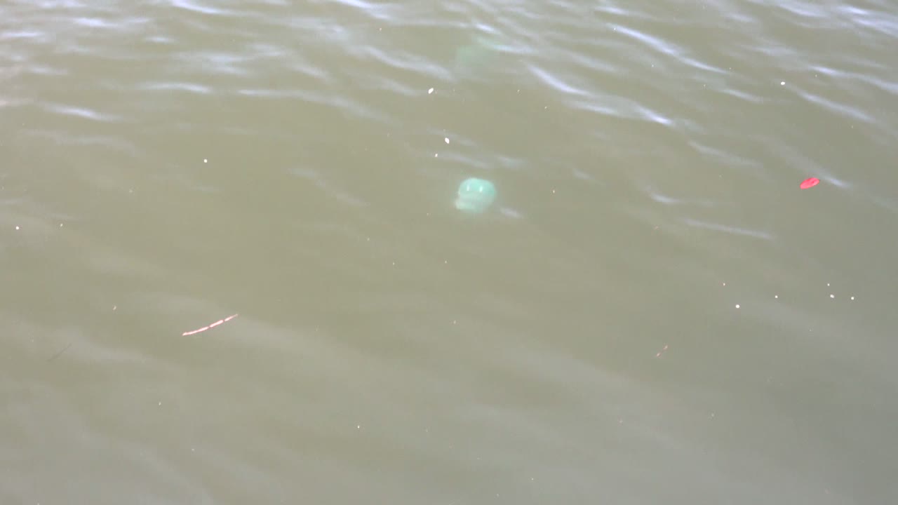 Murky rippling water in Mulege, Baja California Sur, Mexico, with pale green floating objects, tiny red debris, and no visible people at the opening moment.