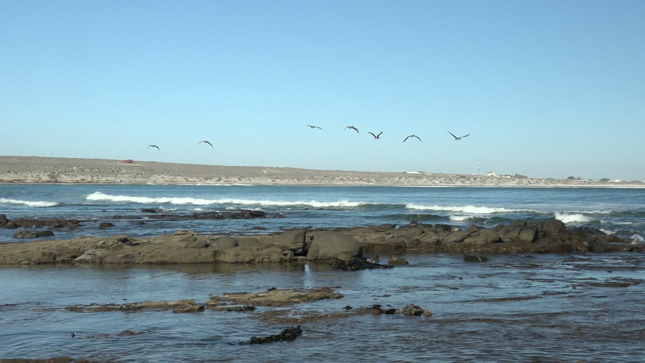 Several seagulls fly across a clear blue sky over rocky shoreline, shallow surf, and distant land at La Bocana, Mexico, with no visible people.