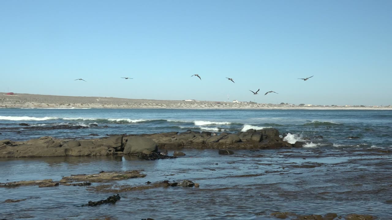 Birds crossing above low surf and exposed rocks