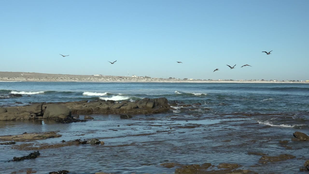 A smaller cluster of seagulls flies over rippled blue water, black rocks, white surf lines, and the distant shore at La Bocana, Mexico, with no visible people.