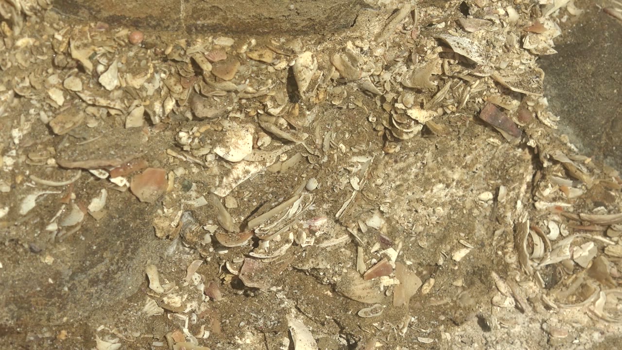 Close ground view in La Bocana, Baja California Sur, with broken pottery shards, small stones, and dusty tan soil filling the frame, no visible people.