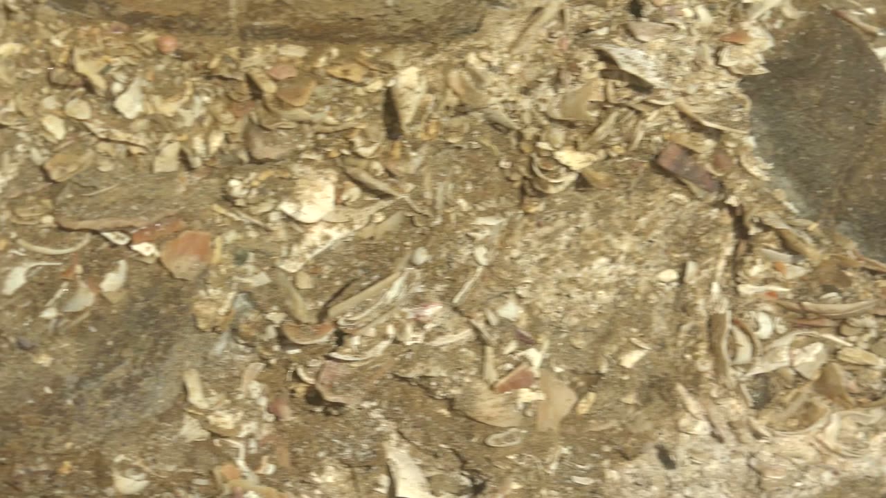 Dusty construction ground with ceramic fragments and embedded rocks.