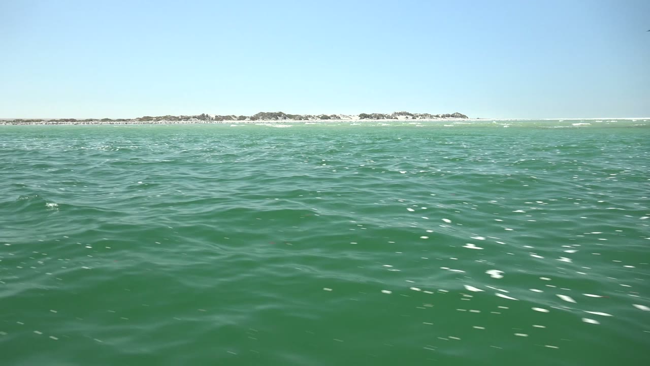 Green ocean water fills the lower frame in La Bocana, Mexico, with a thin distant shoreline, clear blue sky, several seabirds overhead, and no visible people.