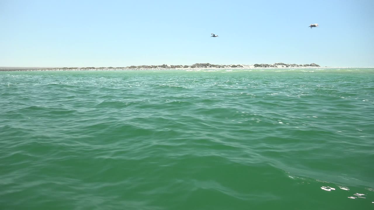 The frame shows open green sea at La Bocana with scattered highlights on the wave tops, a pale distant shore, seabirds overhead, and no visible people.