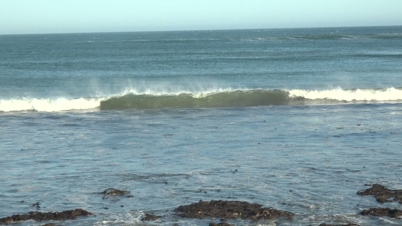 A wave begins to rise across the midground off La Bocana, Baja California Sur, with wet rocks and seaweed in the foreground and no visible people.