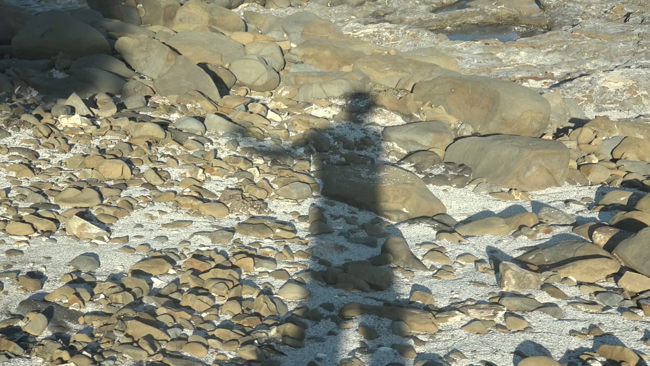 A dark human shadow falls across tan stones and pale sand on the rocky beach at La Bocana, with small foamy water visible near the top edge.
