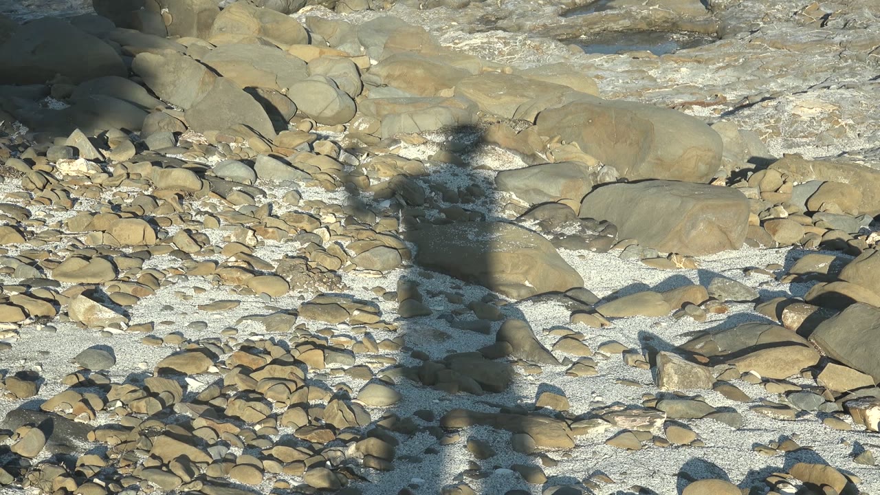 Person shadow over pebbles beside shallow foam