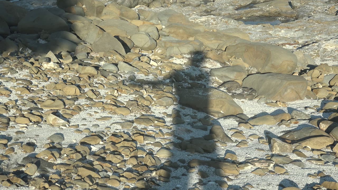 An arm-like portion of the shadow shifts over clustered tan rocks and sand on the La Bocana beach, with water texture still limited to the top of frame.