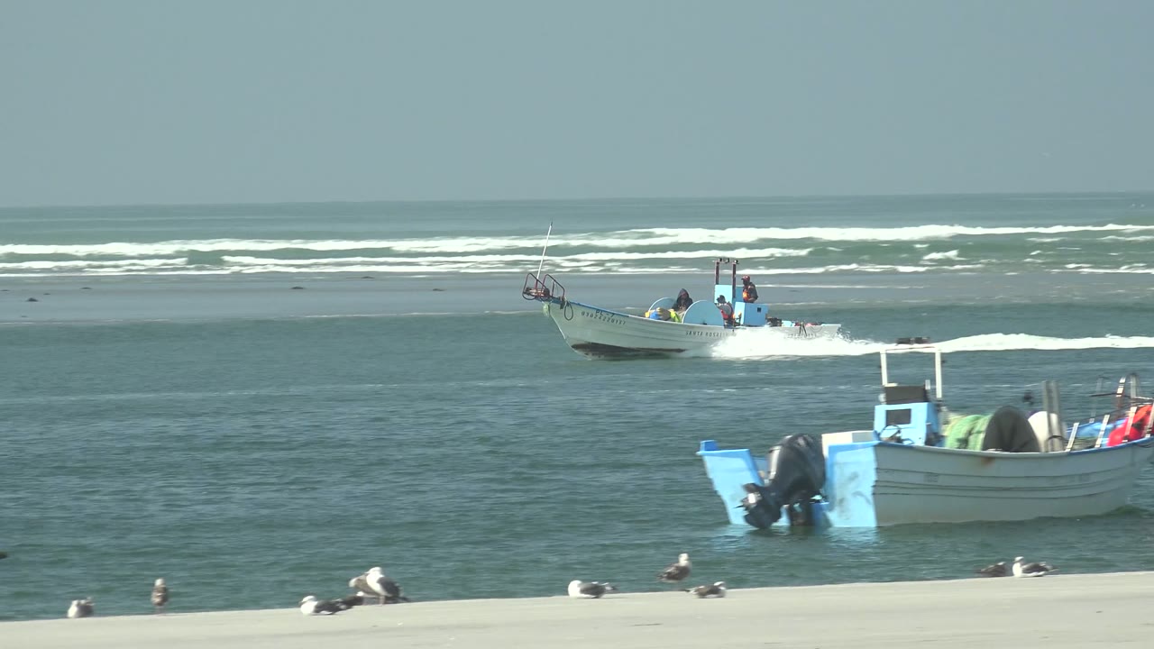 Small boat moving across coastal water near a sandy beach