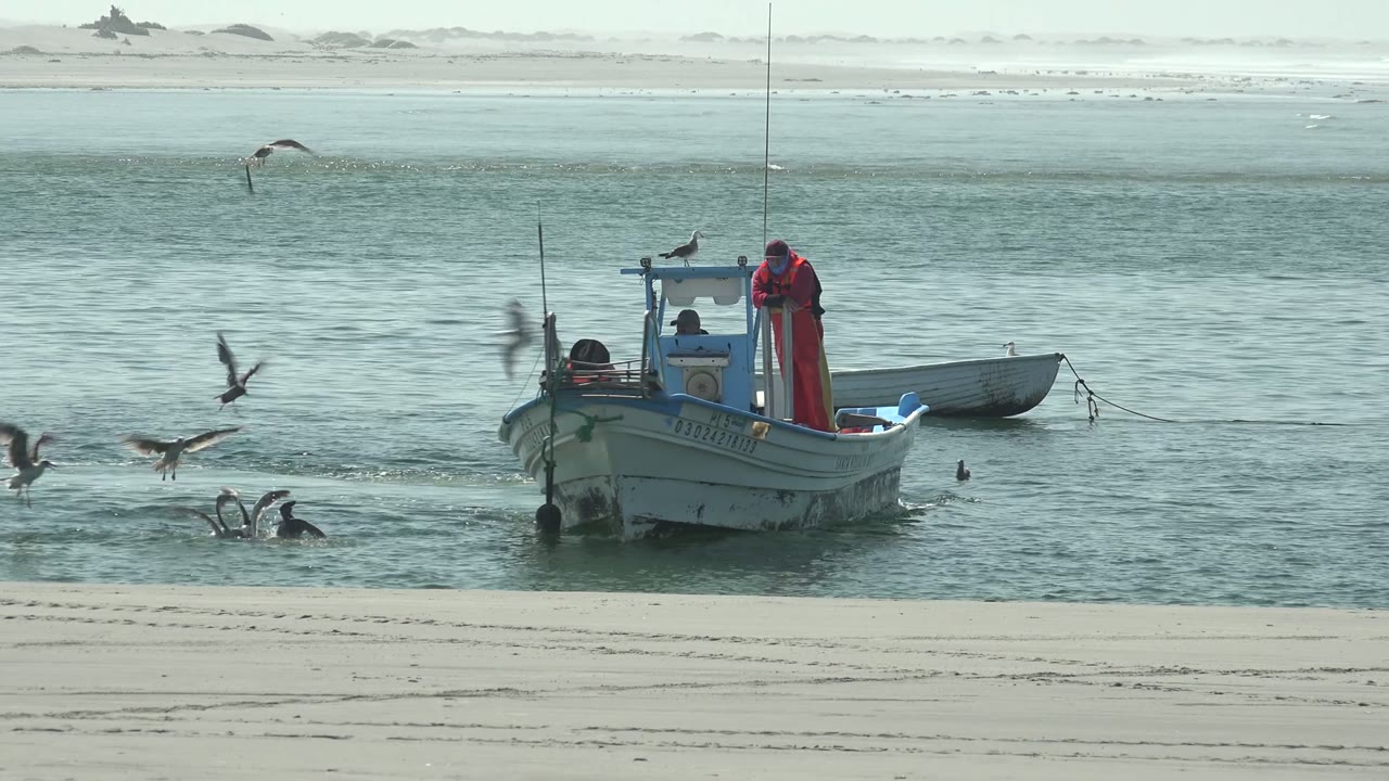 A small fishing boat in La Bocana, Baja California Sur moves near pale sand as seagulls fly and skim the water, with people visible on board.