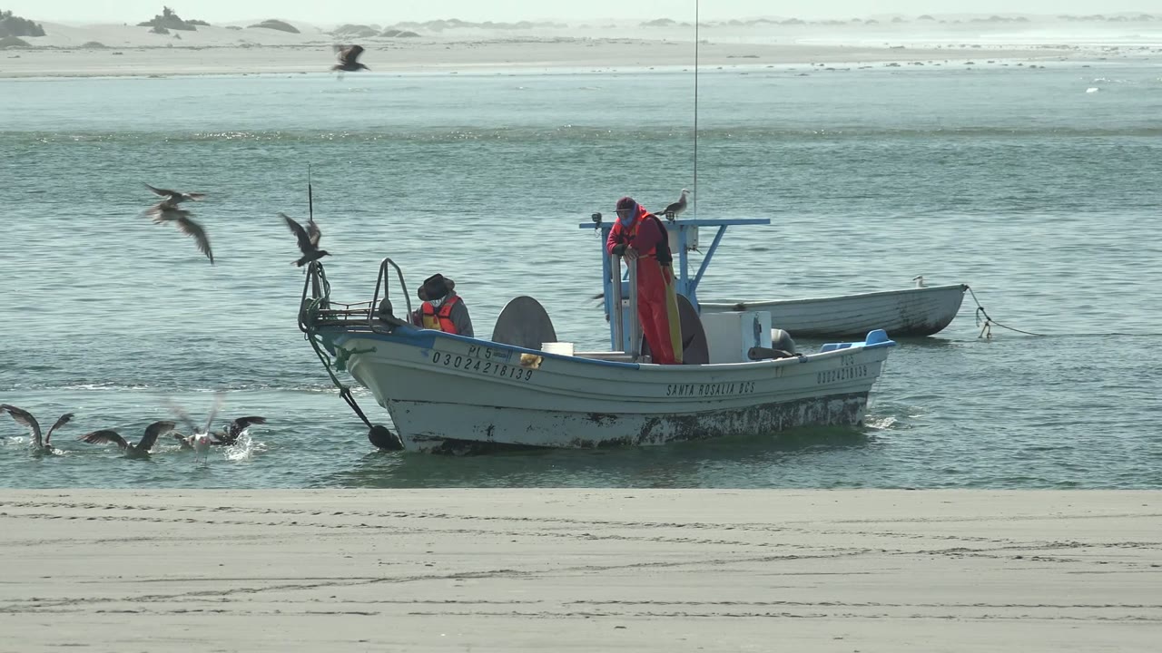 A small boat in La Bocana is shown side-on in blue-green water, with seagulls crossing above and people visible near the center and stern.