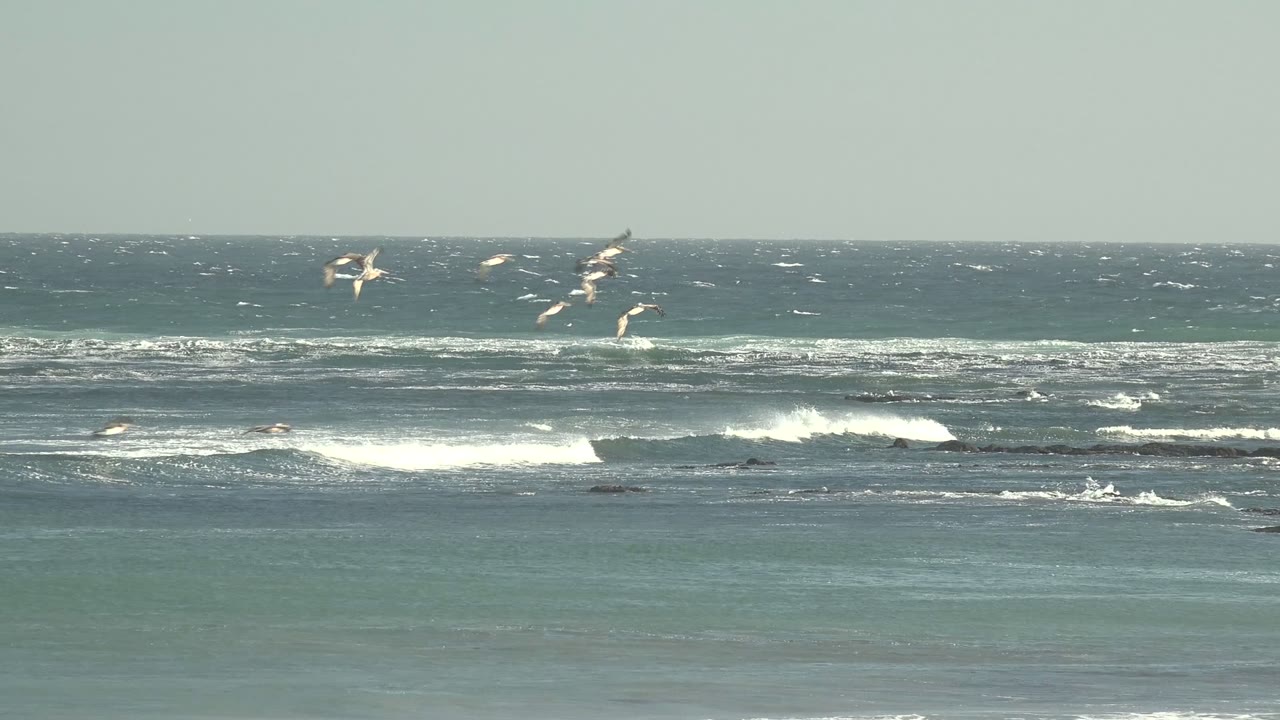 Seagulls pass over choppy blue-green water and low white breakers at La Bocana, Baja California Sur, with no visible people in the sampled frame.