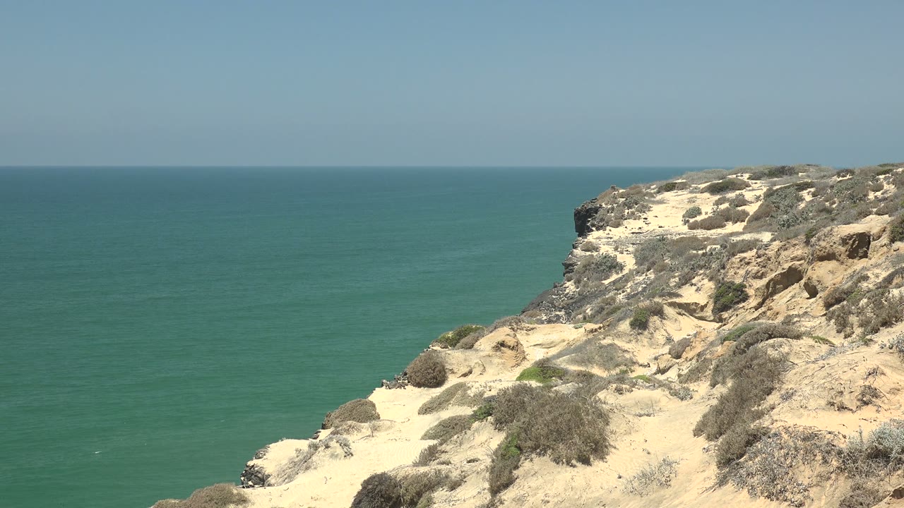 San Quintin BC Mexico coastal edge sits against a broad calm ocean, with scrub patches across the sandy rock, clear blue sky, and no visible people.