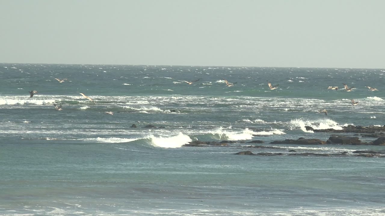 Wide La Bocana surf view with seagulls crossing over white wave crests, exposed rocks, and blue-green water under flat daylight, no visible people.