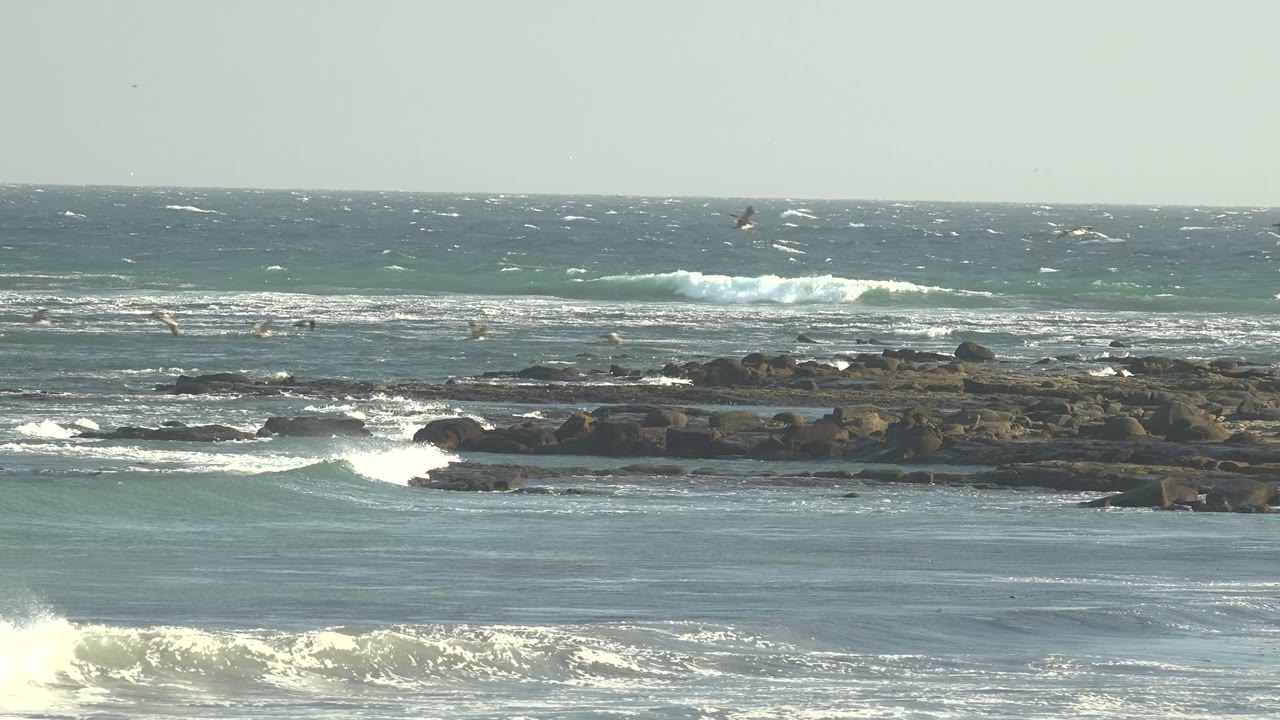 La Bocana, Baja California Sur surf breaks around a dark rocky shelf while seabirds fly across the pale sky and no visible people appear in this opening frame.