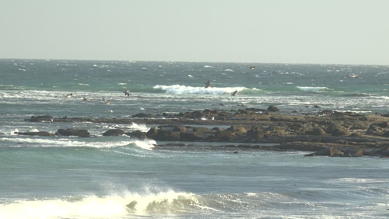 Foamy surf rolls toward dark rocks with birds scattered over the ocean.
