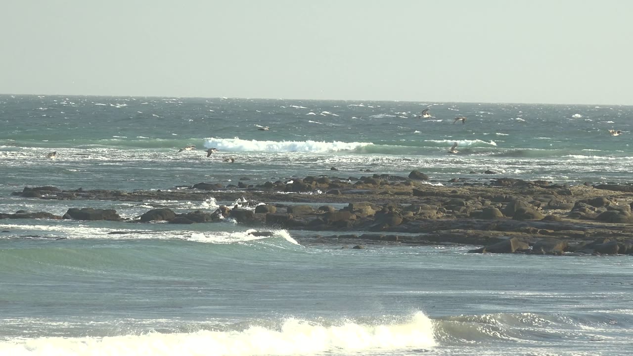 A wider sweep of La Bocana surf shows whitecaps behind the rocky shelf, small waves breaking in front, birds moving across the upper frame, and no visible people.