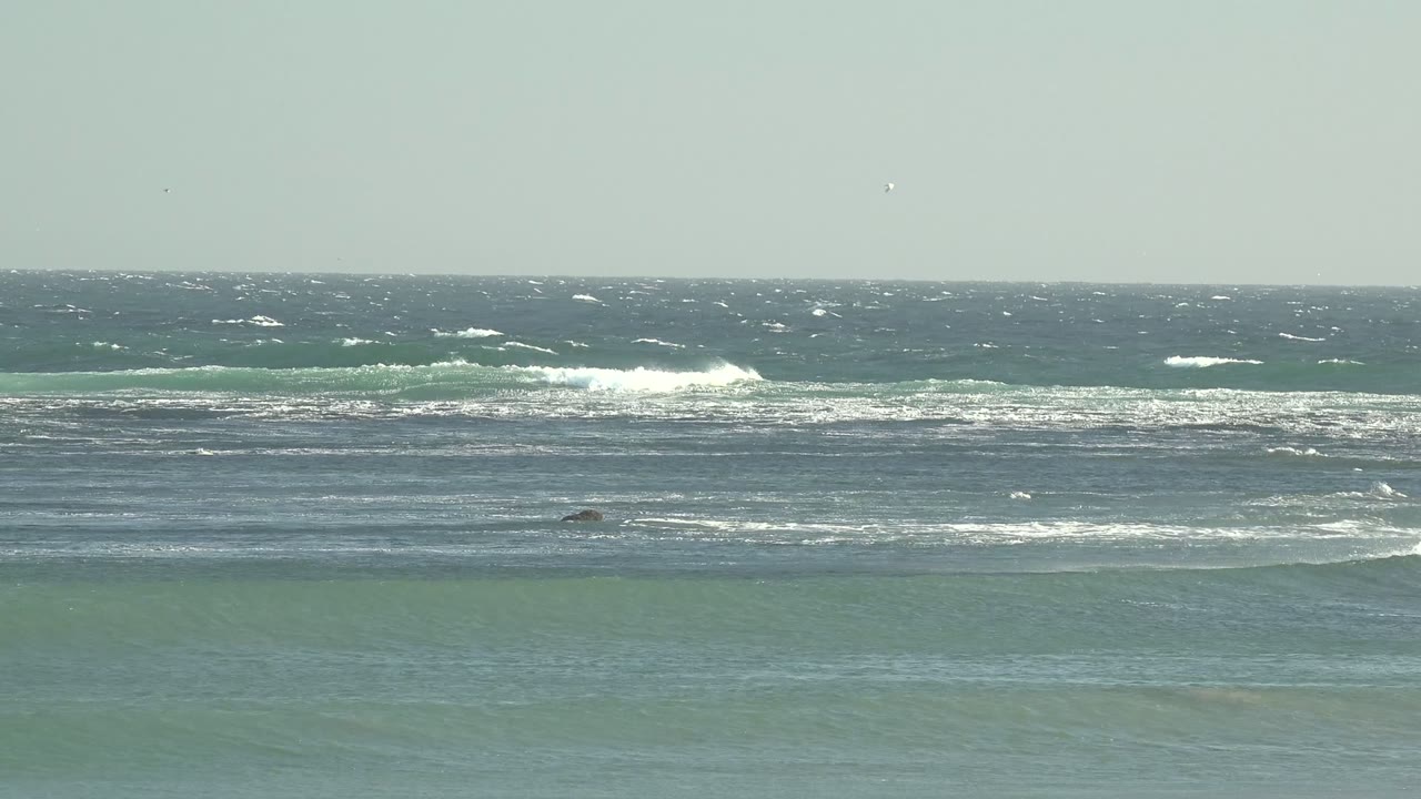 Wide view of blue-green surf at La Bocana, Baja California Sur, with offshore white foam bands, a low horizon, small dark rocks in the water, and no visible people.