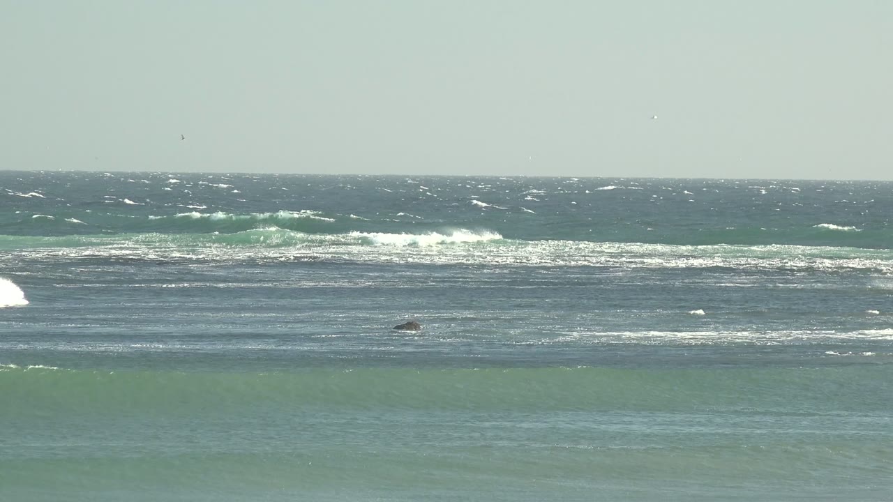 Breaking ocean waves with bright white foam moving across the water