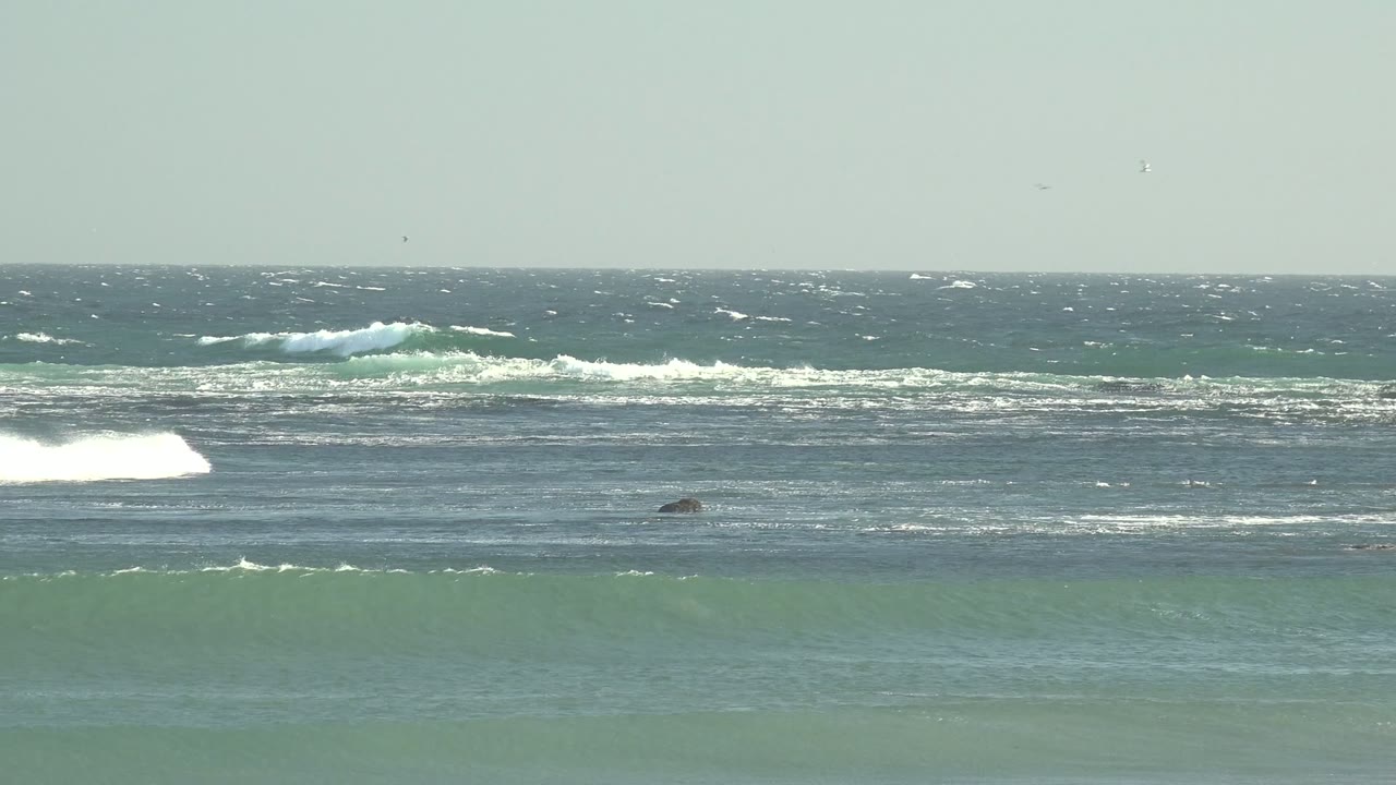 La Bocana surf fills the frame with distant whitecaps near the horizon, layered foam lines across the midground, small rocks in the water, and no visible people.