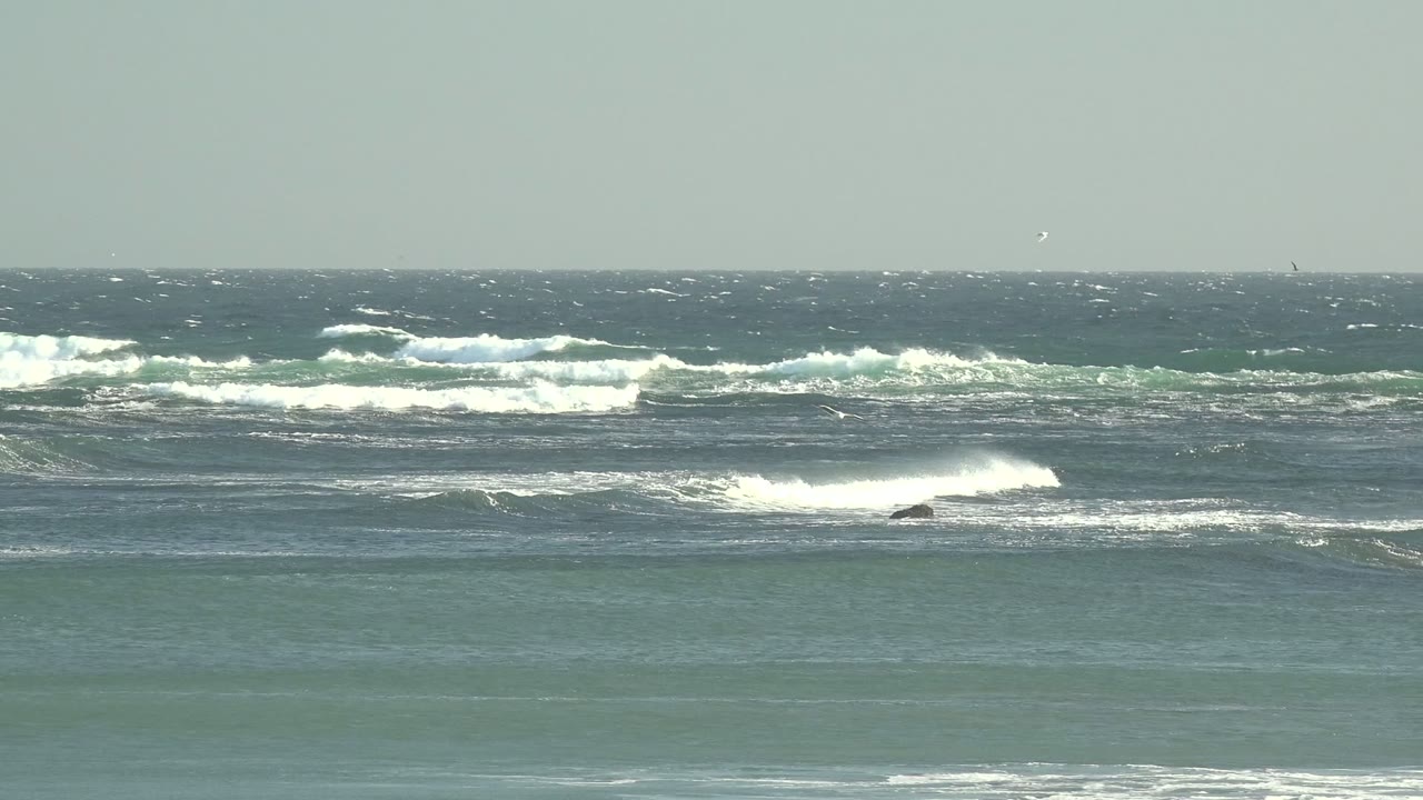 Distant whitecaps roll across blue-green water at La Bocana while small seabirds appear above the surf and no visible people are present.