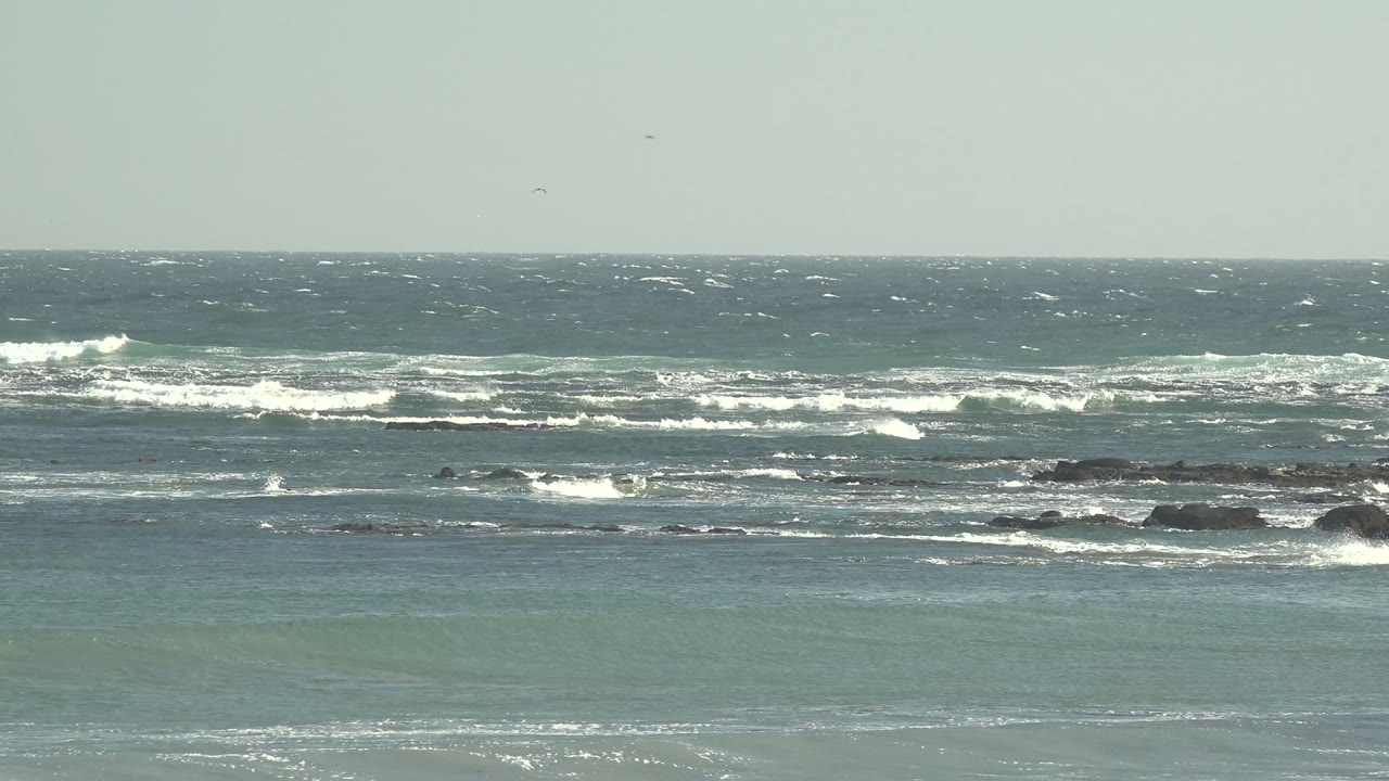 Foamy waves crossing a rocky ocean shelf under gray sky