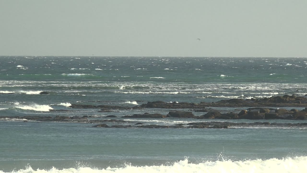 White wave spray rising near low ocean rocks
