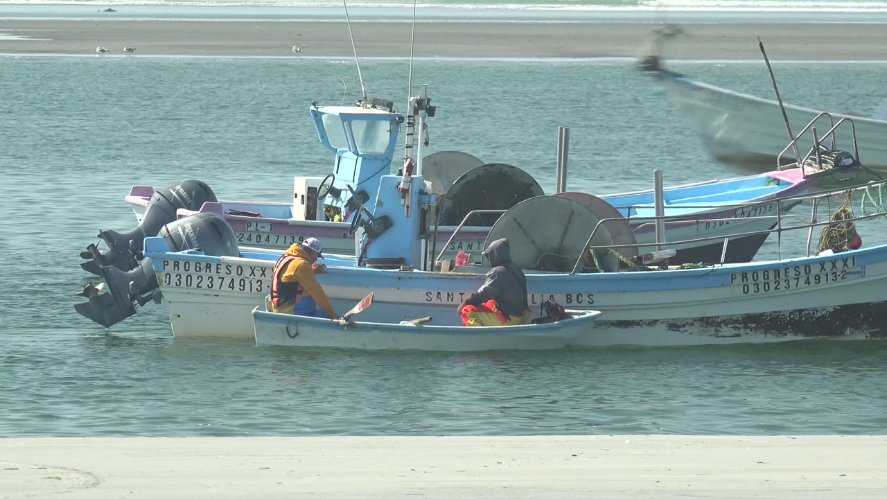 Seagull crosses above fishing boats while two people sit in a skiff.