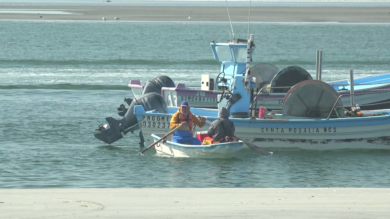 Rowboat with two people moves near a larger blue-and-white boat.