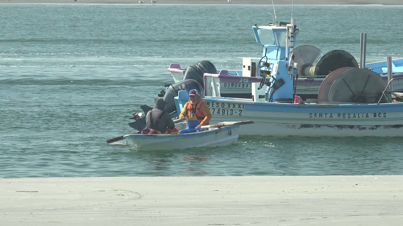 Small rowboat with two people moving along the side of a fishing vessel.