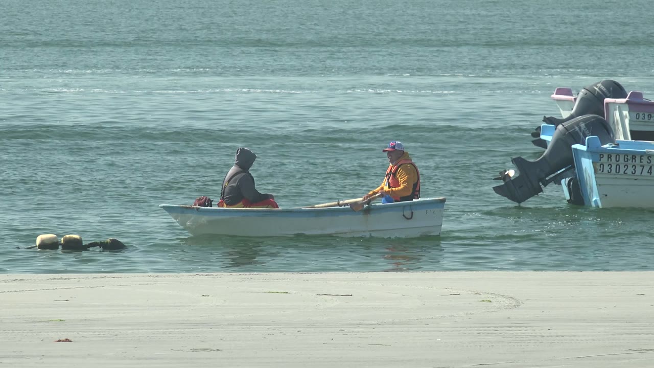 Two people in a small boat rowing across calm water near a sandy beach.