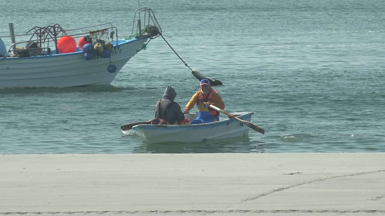 Small rowboat with two people moves across calm water near a sandy beach.