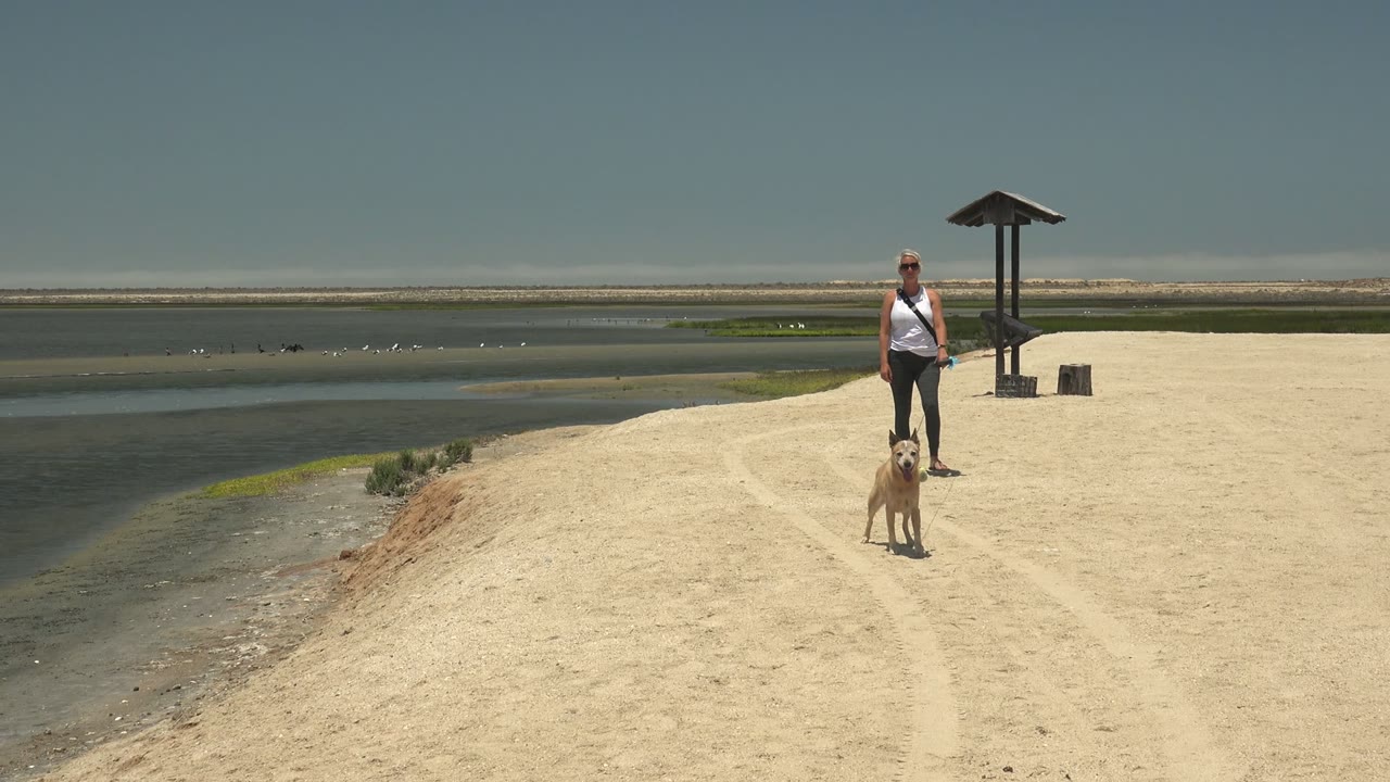 At 0:00 in Guerrero Negro, Mexico, a woman and light brown dog walk toward the camera on a pale sandy path beside open water and distant greenery.