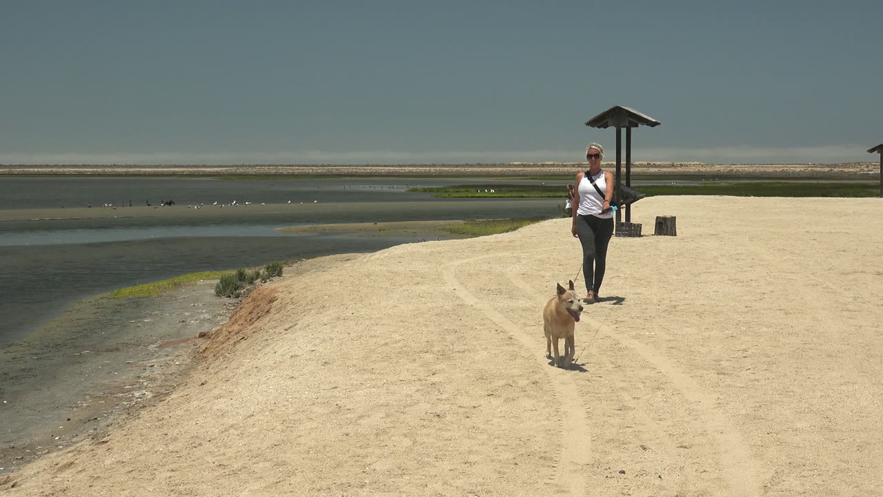 At 0:02 in Guerrero Negro, Mexico, the woman and dog continue forward on the sandy path, with wide pale ground to the right and darker water channels to the left.
