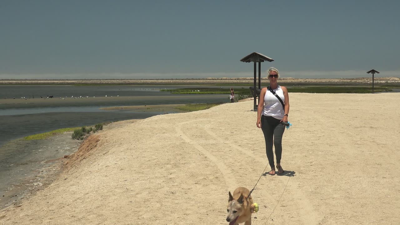 At the start of the Guerrero Negro, Mexico clip, a woman walks toward the camera on a pale sandy path while a leashed dog enters the lower foreground near calm water.