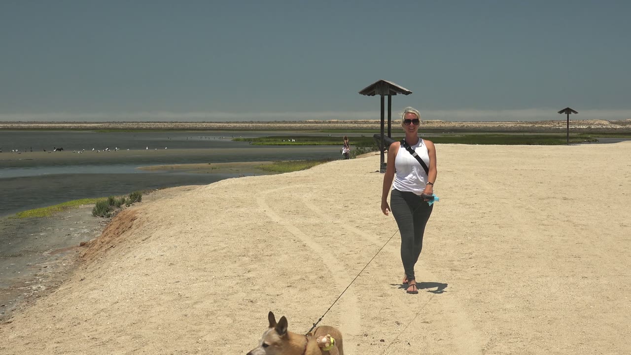 Woman and dog moving closer on sandy waterfront path.