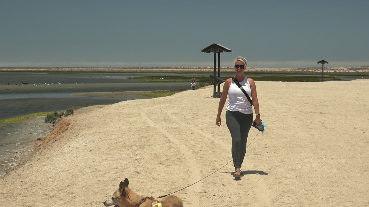 At 0:02, the woman continues toward the camera on the Guerrero Negro sandy path while the dog crosses the lower edge of frame and the water remains to the left.