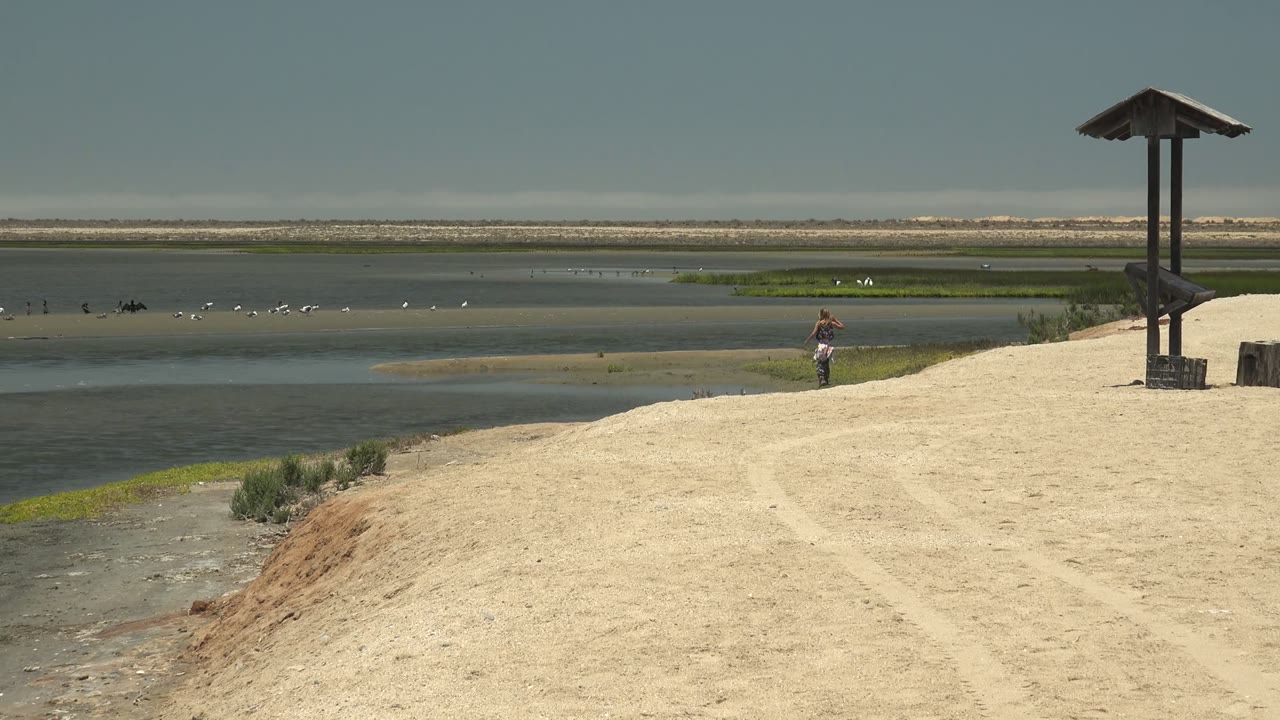 Wide Guerrero Negro wetland view with a pale sandy path in the foreground, a woman near the waterline, scattered birds, marsh vegetation, and a roofed wooden structure at right.